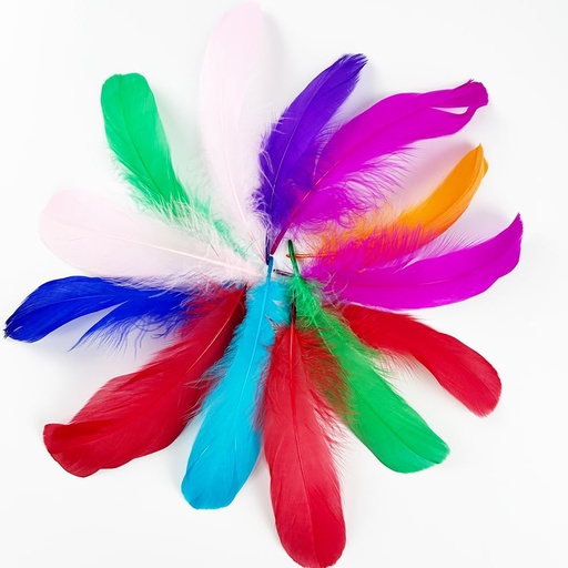 [CC000482] Short Multicolor Feather Pack