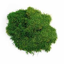 [CC000513] Synthetic Moss Green